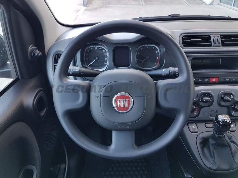 FIAT Panda III 2021 1.0 firefly hybrid City Cross s&s 70cv 5p.ti