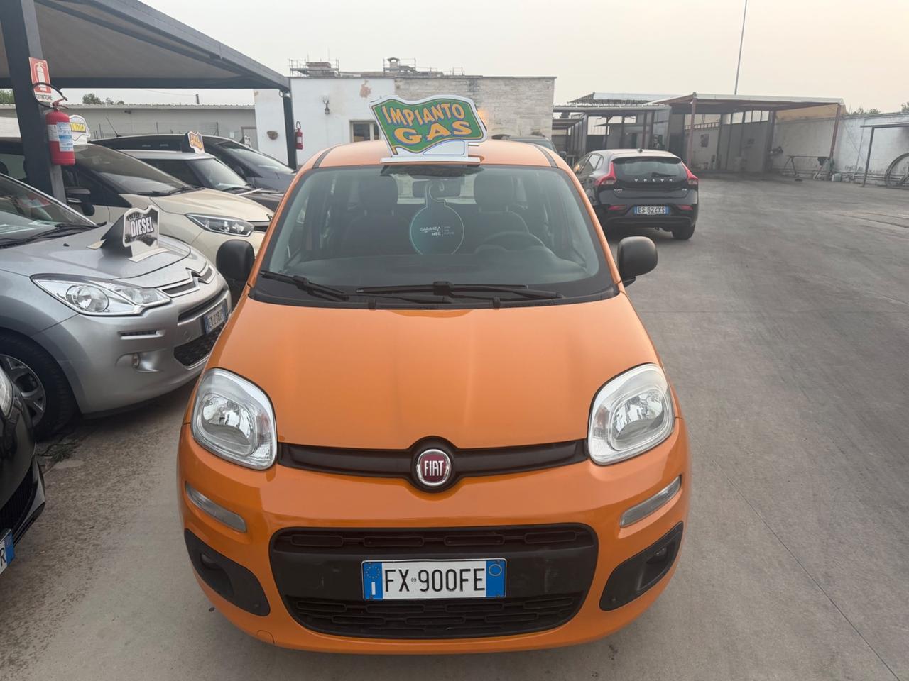 Fiat PANDA 1.2 GPL 2019 - NORD ITALIA