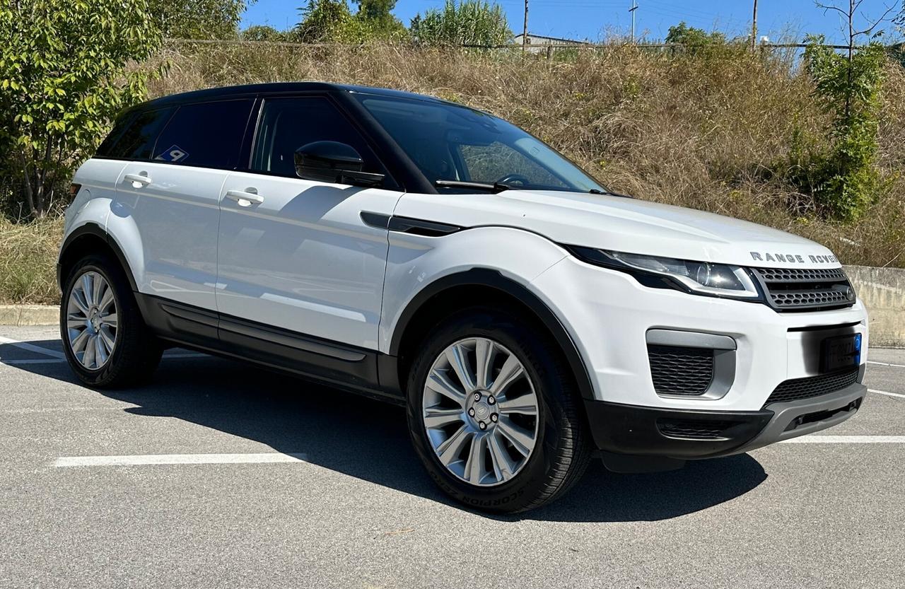 Land Rover Range Rover Evoque Range Rover Evoque 2.0 TD4 150 CV 5p. Business Edition Pure N1 AUTOCARRO