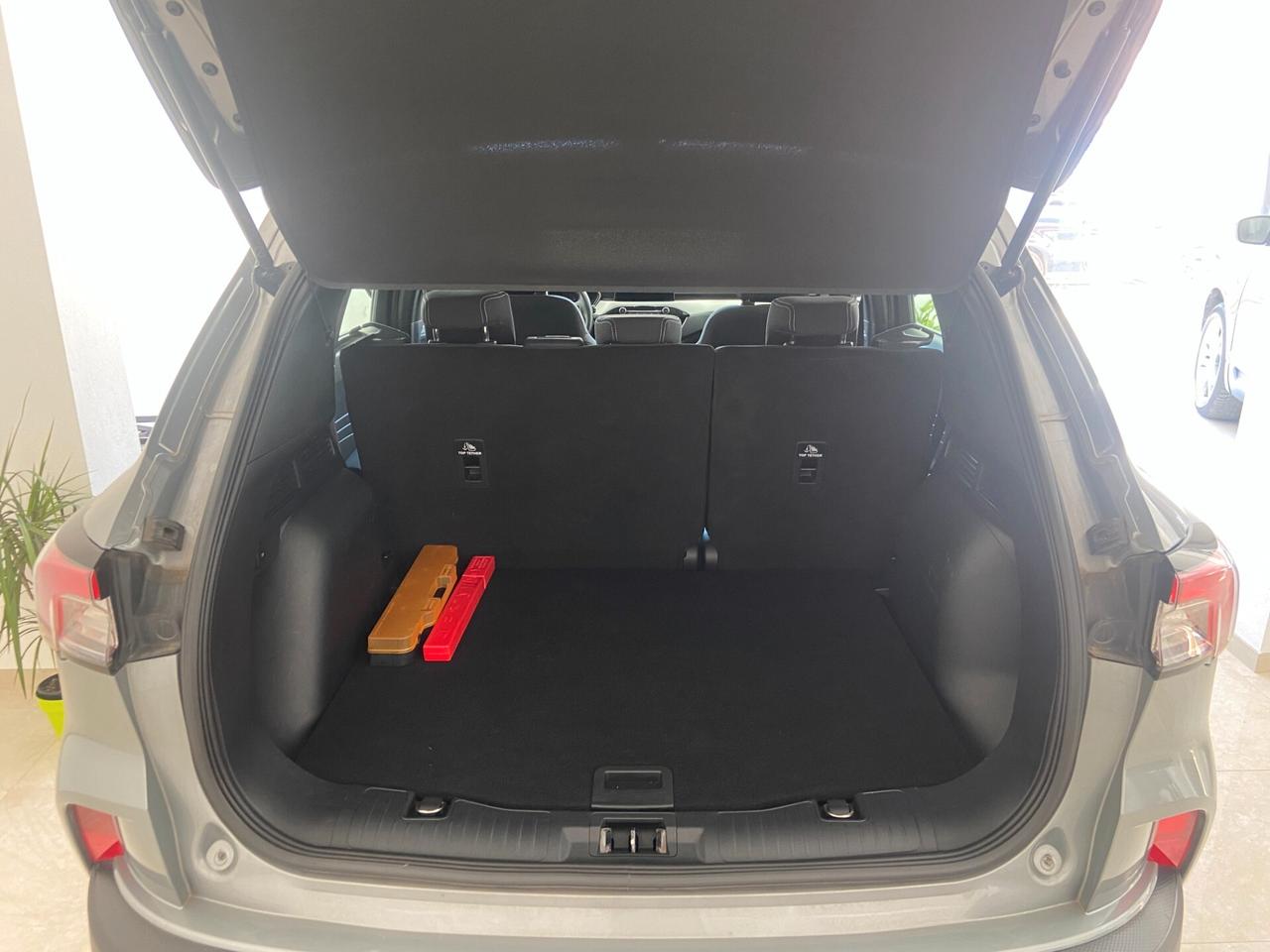 Ford Kuga 1.5 Ecoblue 120 cv