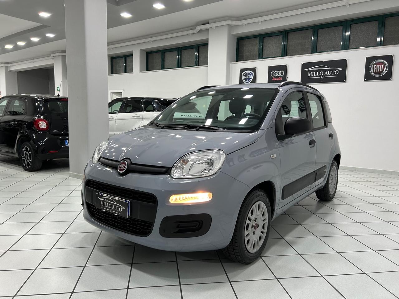 Fiat Panda 1.2cc 69cv Easy UNICO PROPRIETARIO