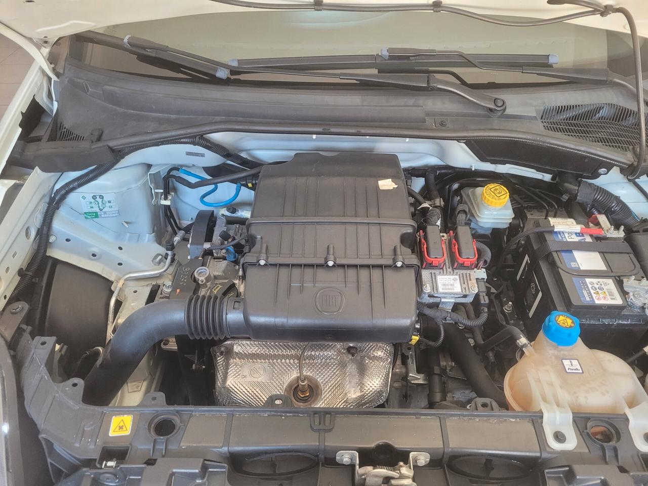 Fiat Punto 1.2 8V 5 porte Street