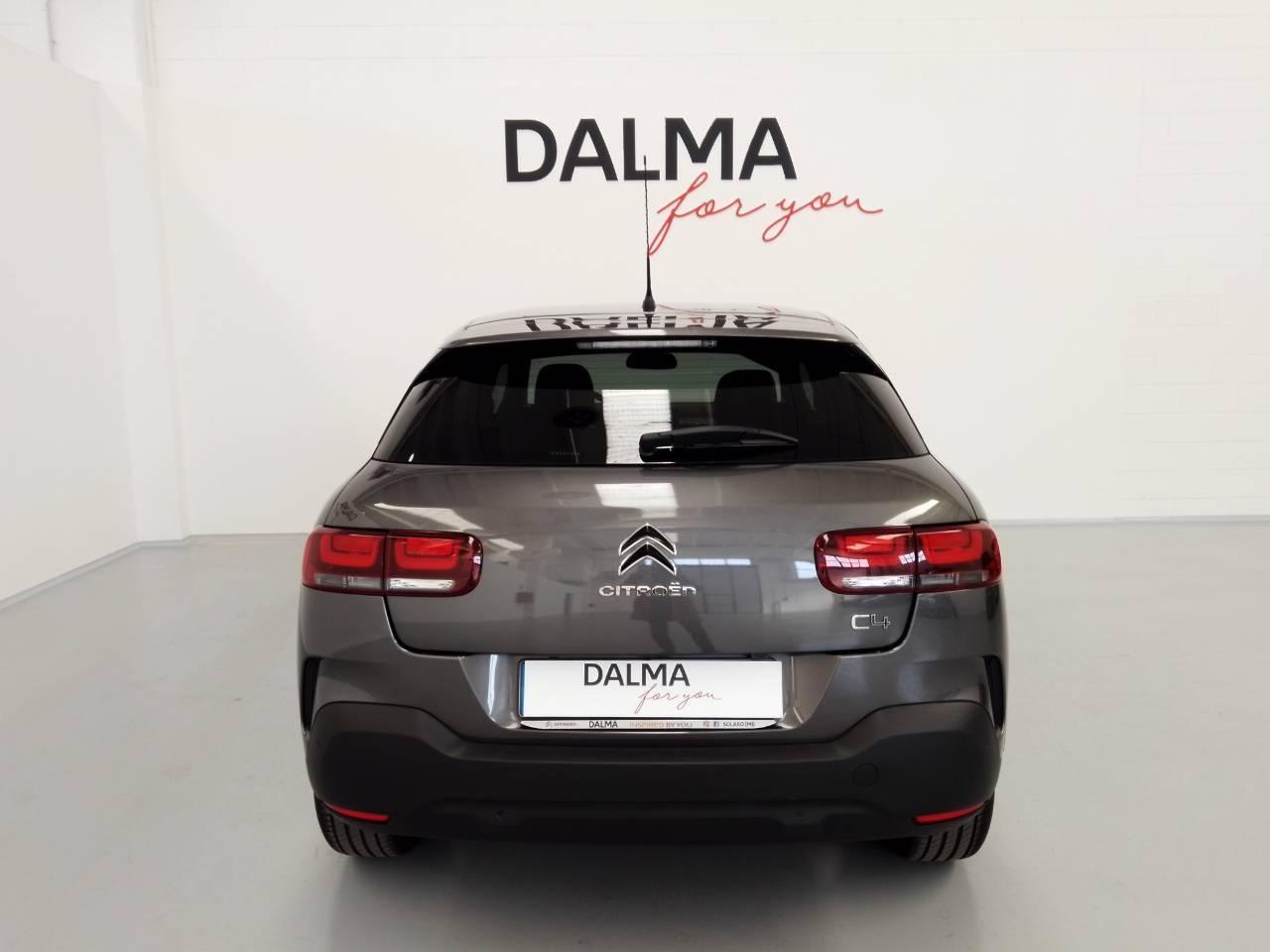 CITROEN C4 Cactus 2018 - C4 Cactus 1.5 bluehdi Shine s&s 120cv eat6