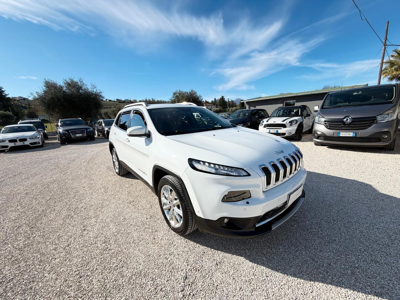 Jeep Cherokee 2.0 Mjt II 170CV 4WD 134.859 km unico proprietario