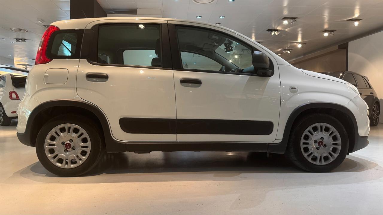FIAT PANDA 1.0 70CV - 2023