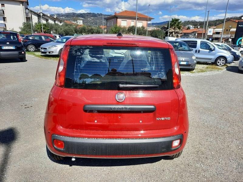 FIAT Pandina PANDA MY26 1.0 65CV HYBRID ICON