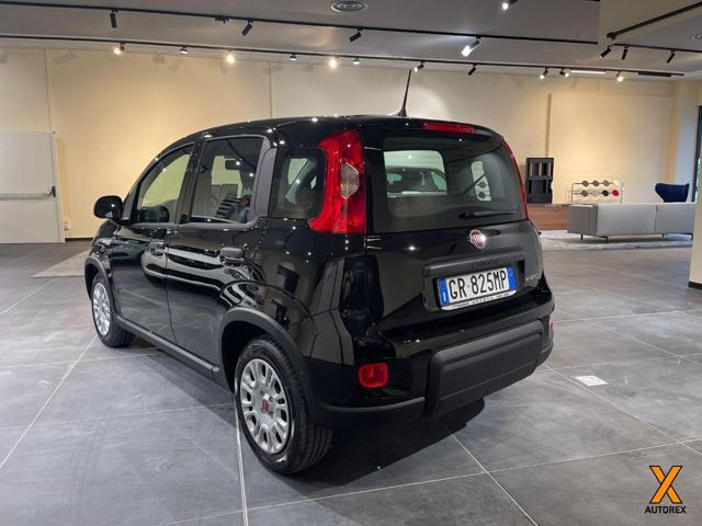 FIAT Panda 1.0 FireFly S&S Hybrid Con Rottamazione