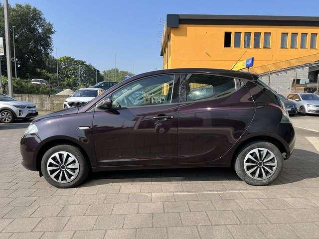 Lancia Ypsilon Ypsilon 1.2 69 CV 5 porte Elefantino