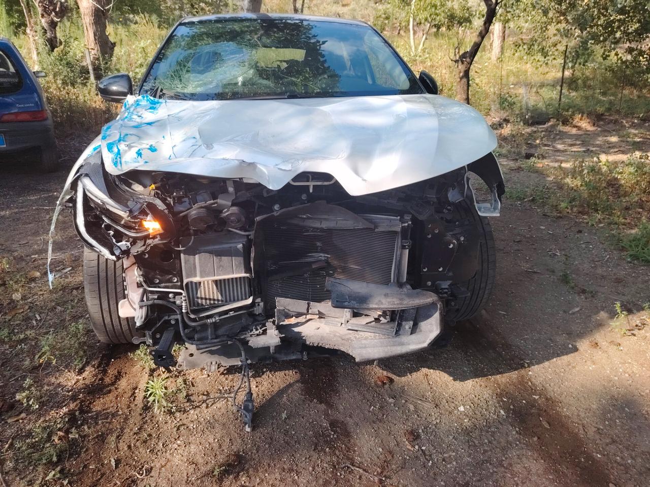 Renault Captur TCe 100 CV GPL Intens