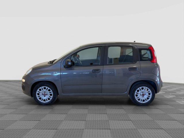 FIAT Panda Panda 1.0 FireFly Hybrid