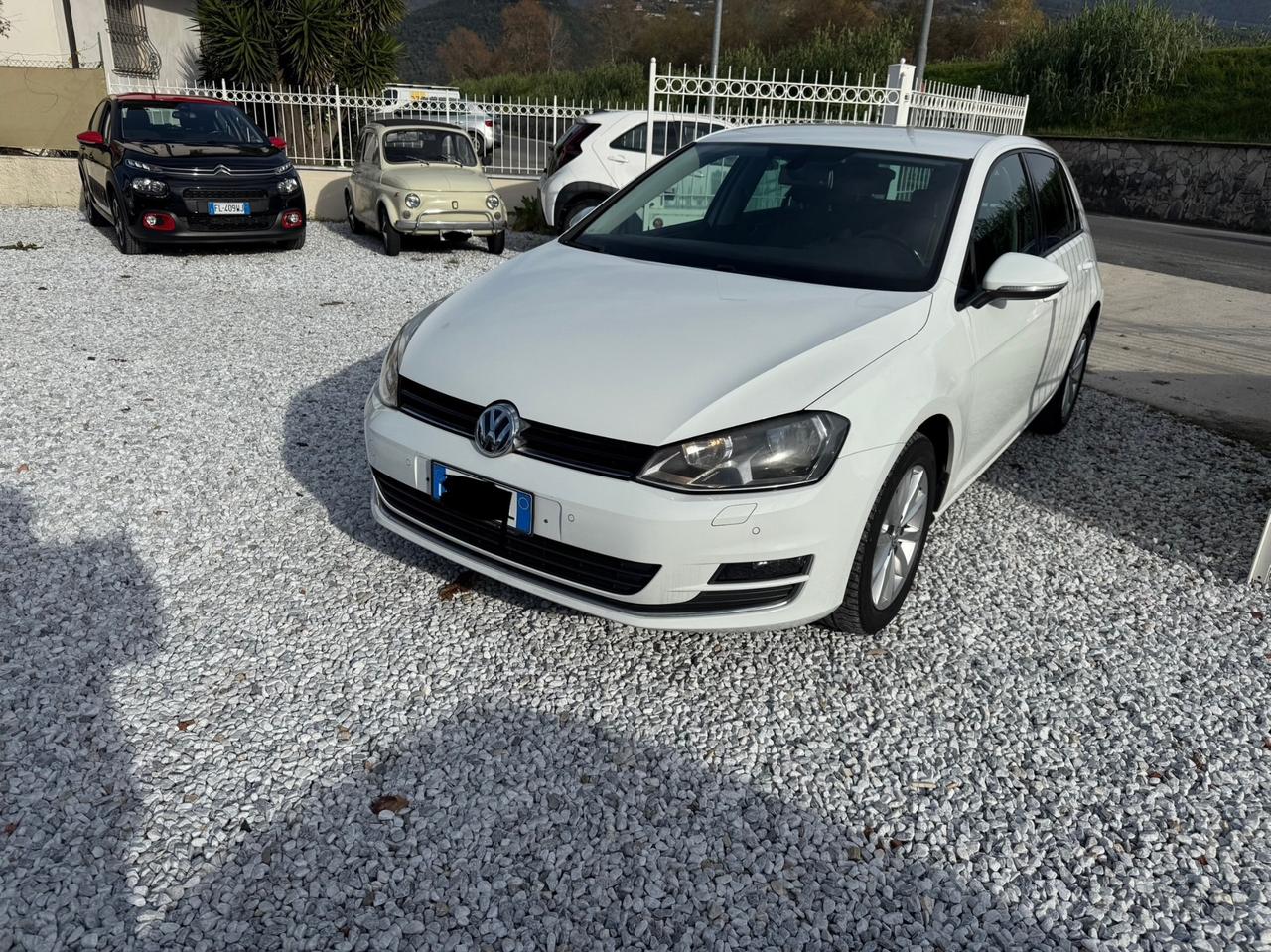 Volkswagen Golf 1.6 TDI 110 CV 5p. Highline BlueMotion Technology
