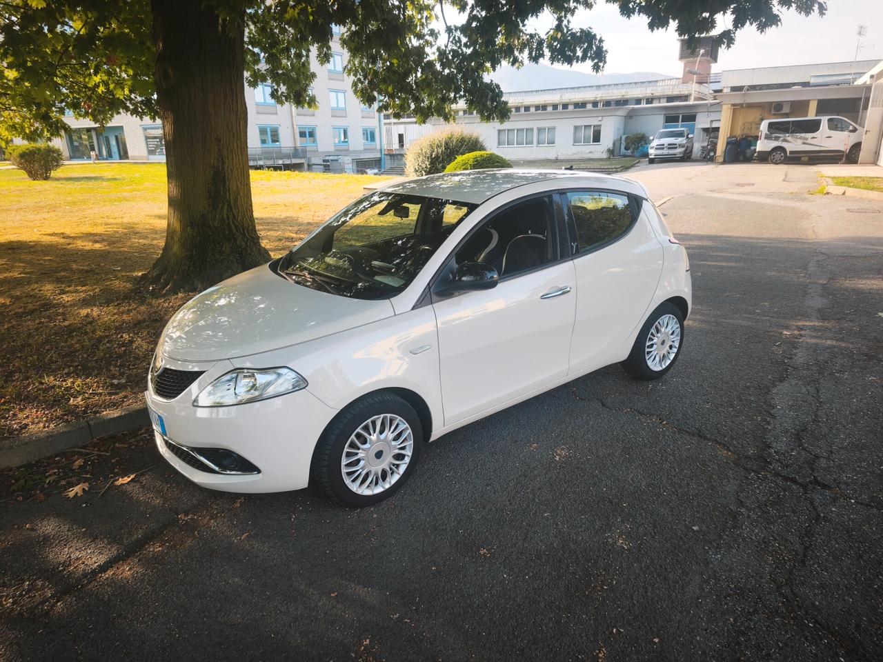 Lancia Ypsilon 1.2 69 CV 5 porte Platinum