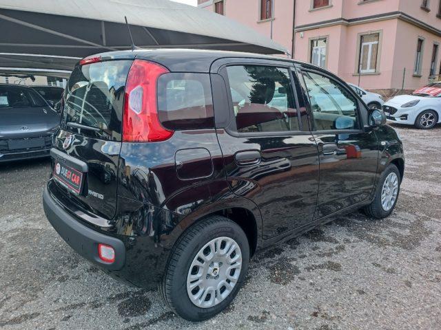 FIAT Panda 1.0 FireFly S&S Hybrid Icon