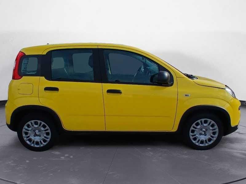 FIAT Panda NEW 1.0 70cv Hybrid Panda