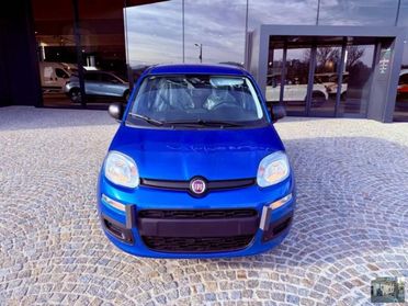 FIAT - Panda - 1.0 FireFly S&S Hybrid Launch Ed.