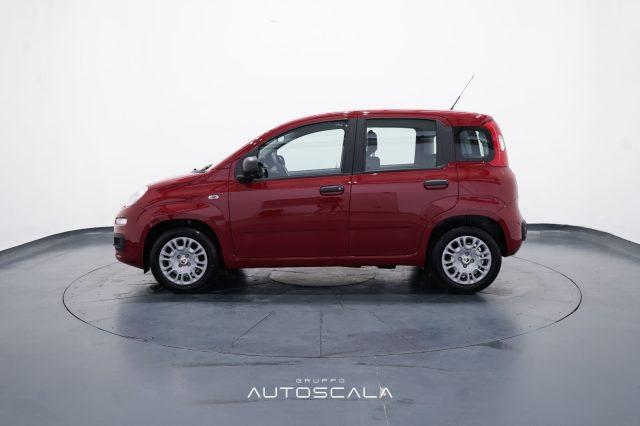 FIAT New Panda My25 1.0 FireFly S&S Hybrid