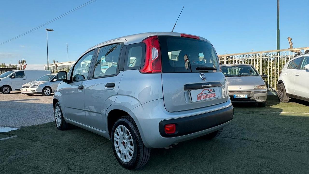 Fiat Panda 1.2 312PXA1A | BENZINA|169A4000 CC 1242 CV 69 KW 51 BERLINA, 5 P. (92816