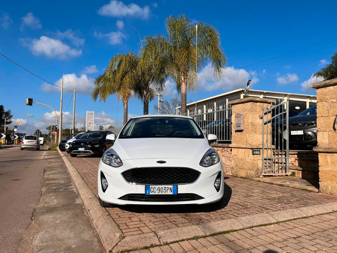 Ford Fiesta 1.5 TDCi 85 CV 3 porte Van Trend