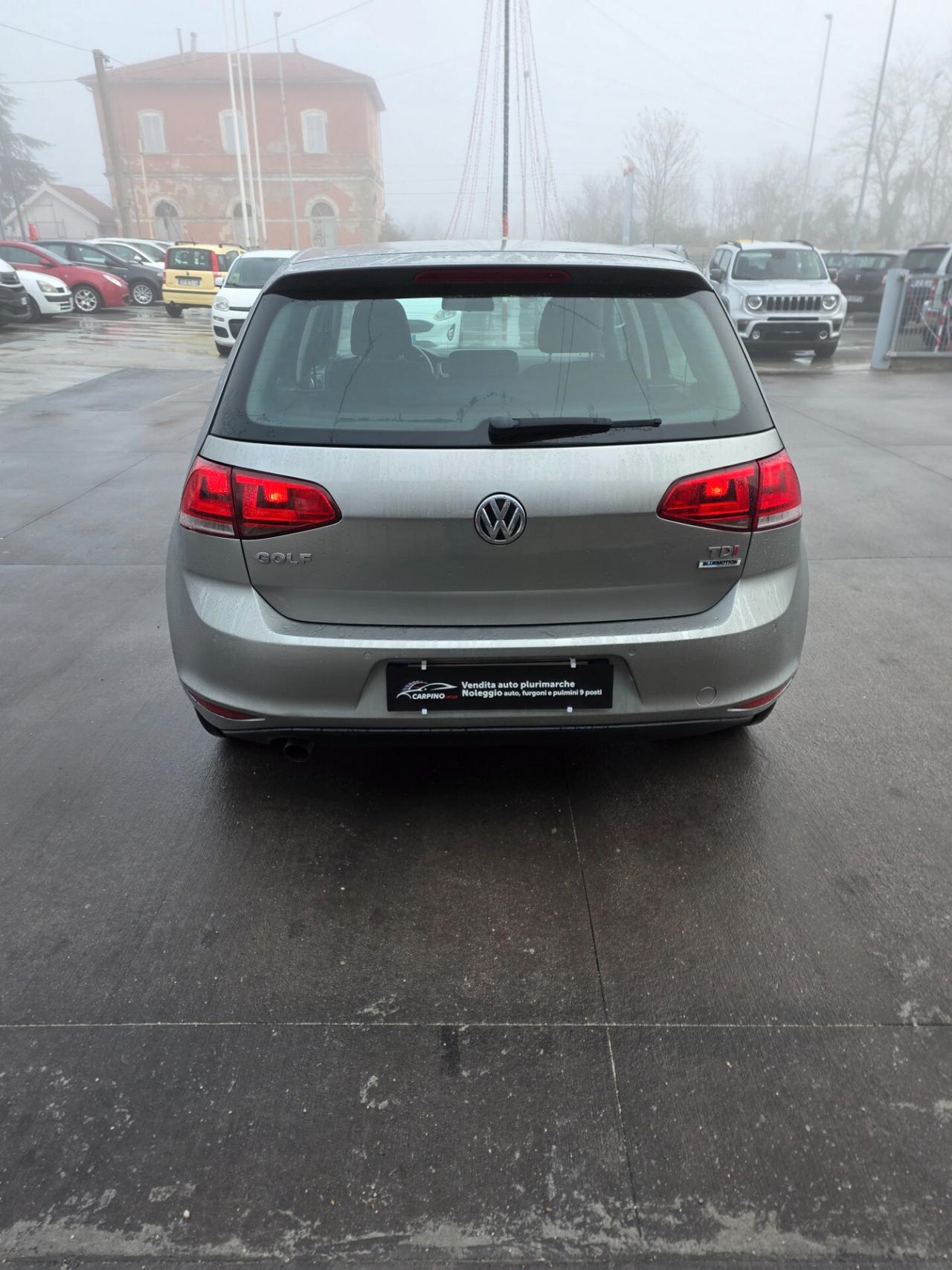 Volkswagen Golf 1.6 TDI 90 CV 5p. Esecutive BlueMotion Technology