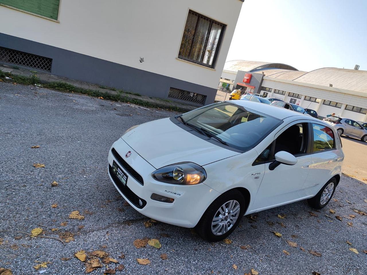 Fiat Punto 1.3 MJT Neopatentati 5 porte - 2014