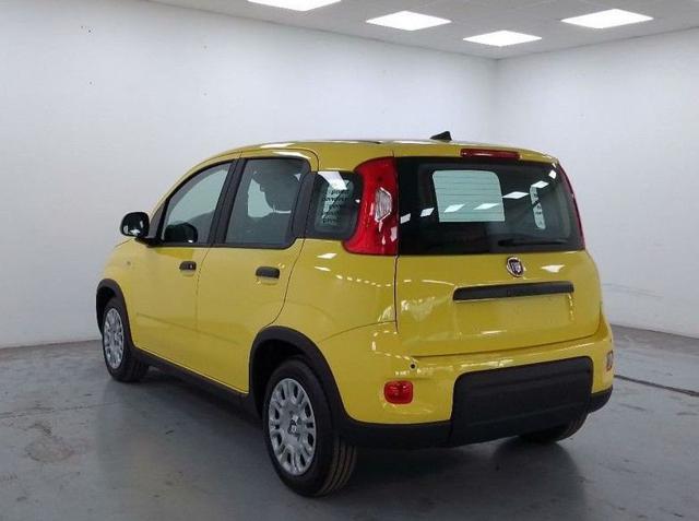 FIAT Panda 1.0 FireFly S&S Hybrid Pandina PREZZO REALE