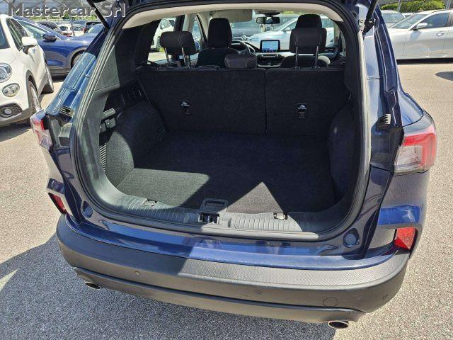FORD Kuga 2.0 ecoblue mhev Titanium Business 2wd 150cv tg :
