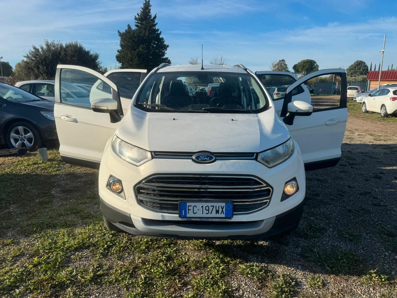 Ford EcoSport 1.0 benzina del 2016 NEOPATENTATI