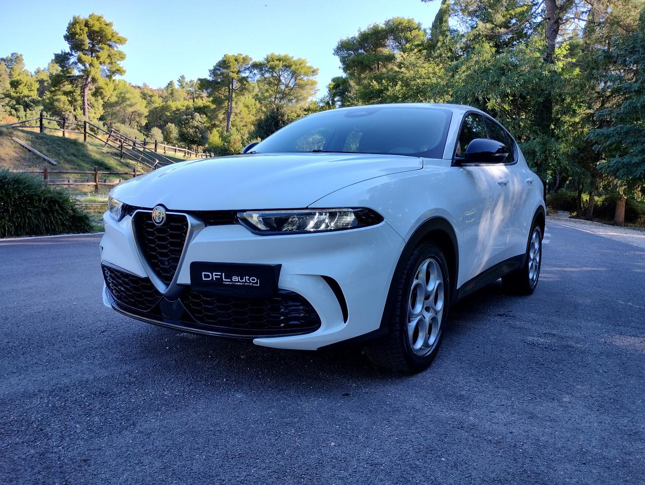 Alfa Romeo Tonale 1.6 diesel 130 CV TCT6 Super