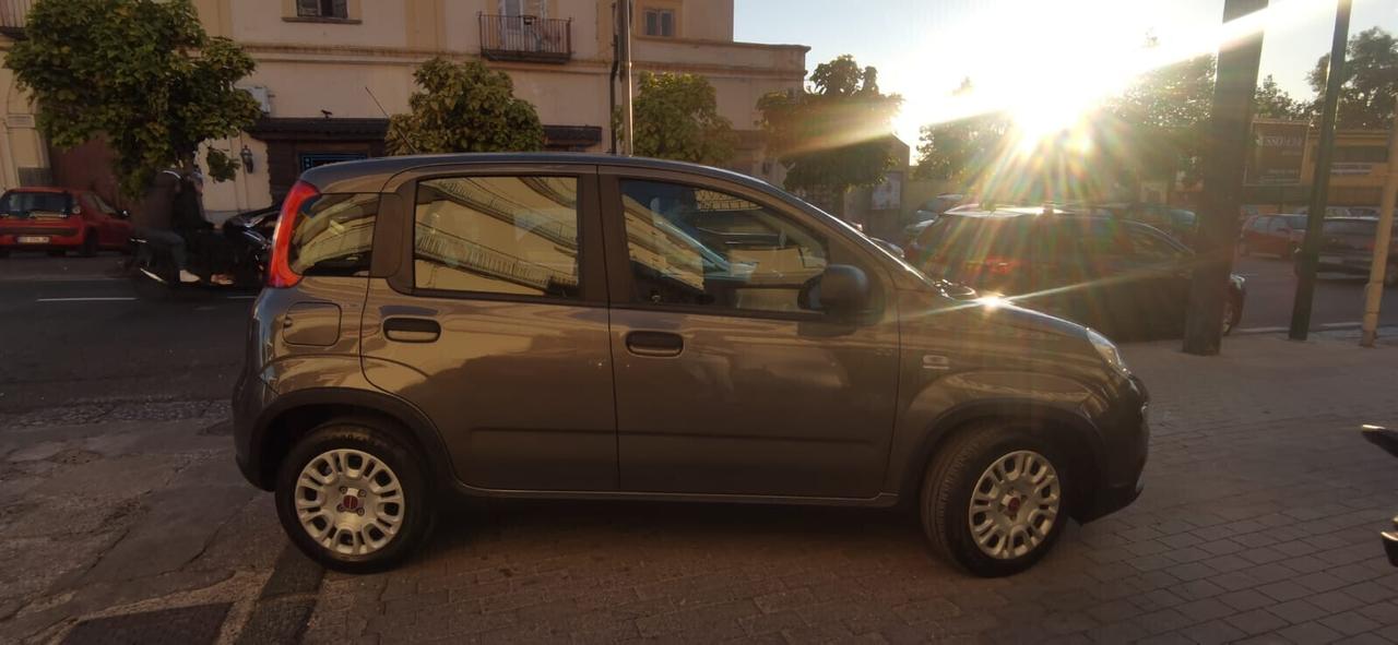 Fiat Panda 1.0 FireFly Hybrid City Life 2022 USATO