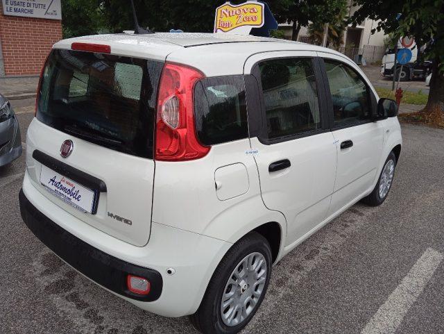 FIAT Panda 1.0 FireFly HYBRIID KM 0 SENSORI POST PREZZO REALE