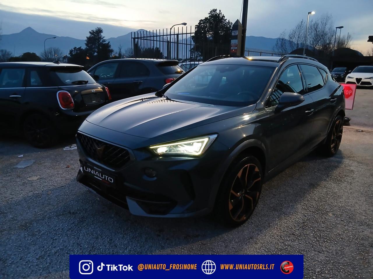 Cupra Formentor 2.0 TDI 4Drive DSG