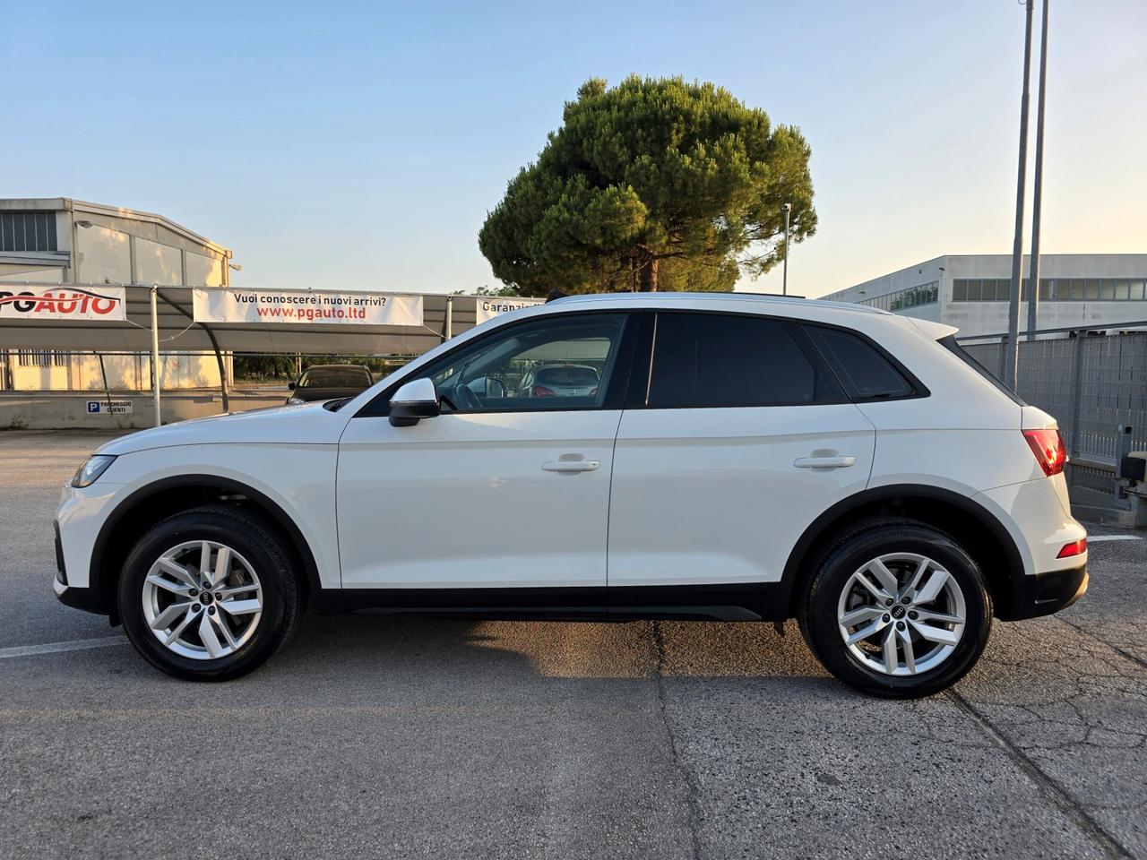 Audi Q5 40 2.0 tdi mhev 12V Business quattro s-tronic - TETTO -