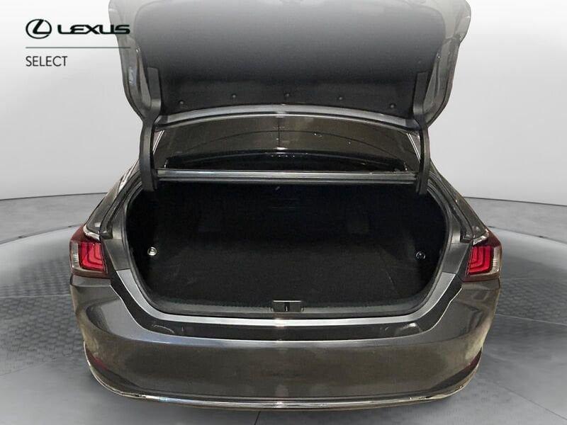 Lexus ES Hybrid Business
