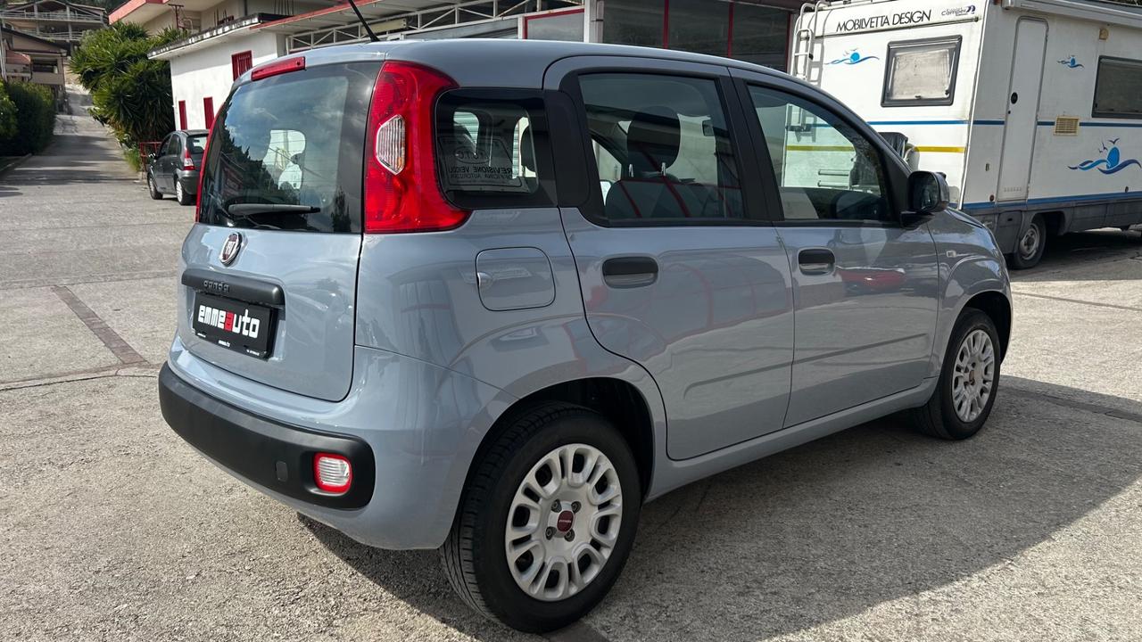 Fiat Panda 1.2 Benz 69cv 17.000km