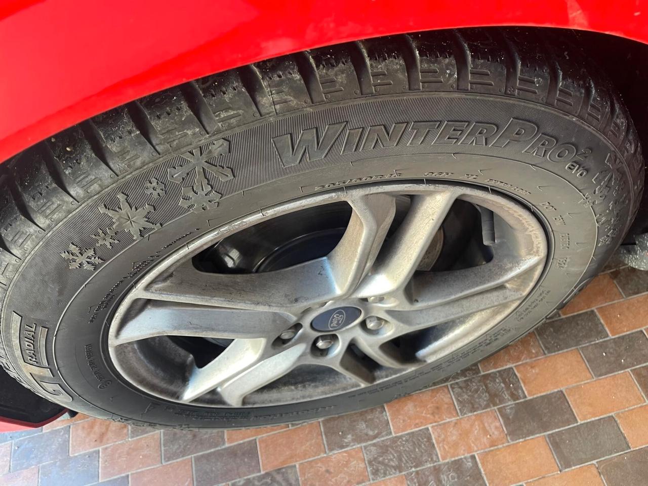 Ford Focus 1.5 EcoBlue 120 CV 5p. Business