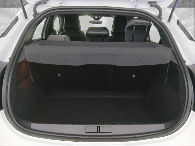 Lancia Ypsilon 1.2 mhev LX 110cv e-dct