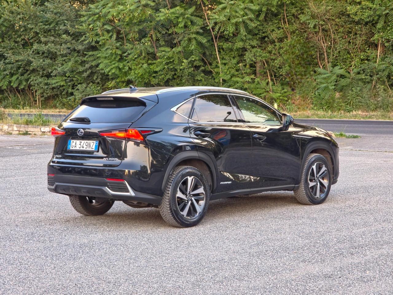 Lexus NX 300h Hybrid 4WD F-Sport E6 Automatico 2020
