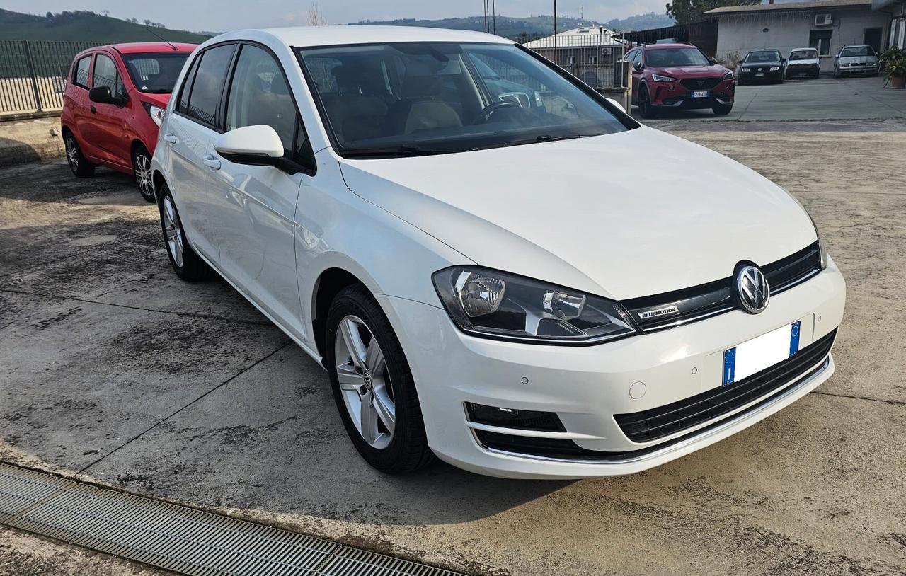 Volkswagen Golf 1.4 TGI 5p. Highline BlueMotion