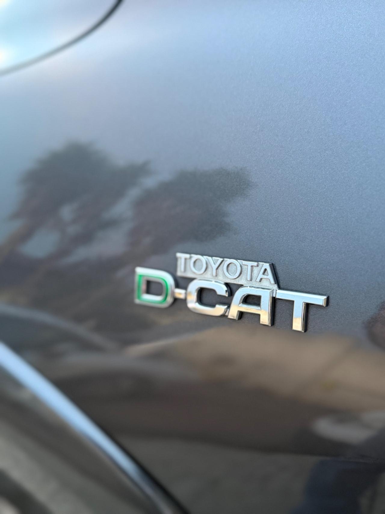 Toyota RAV4 2.2 D-4D 150 CV Luxury