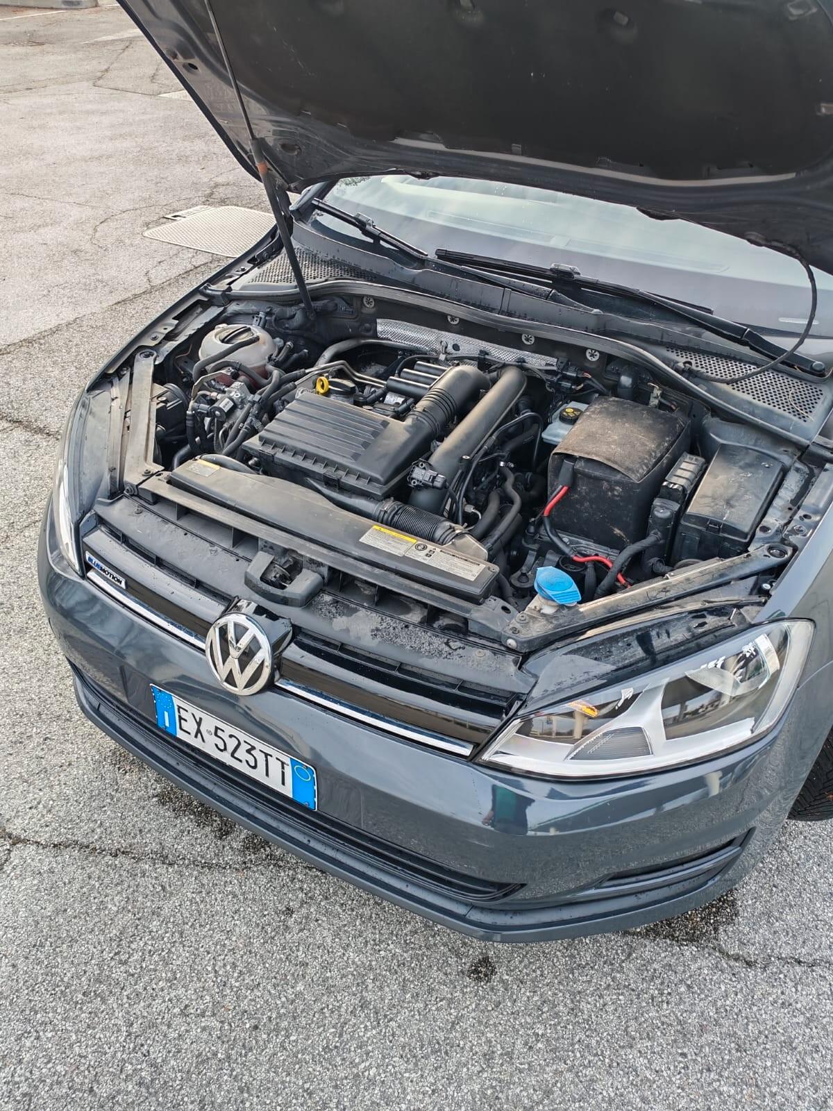 Volkswagen Golf Business 1.4 TGI DSG 5p. Highline BlueMotion