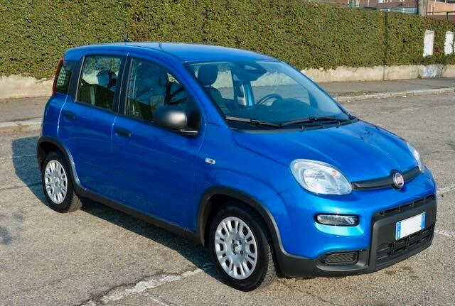 Fiat Panda 1.0 FireFly S&S Hybrid Pandina