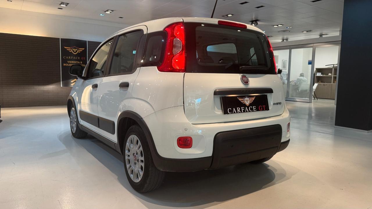 FIAT PANDA 1.0 70CV - 2023