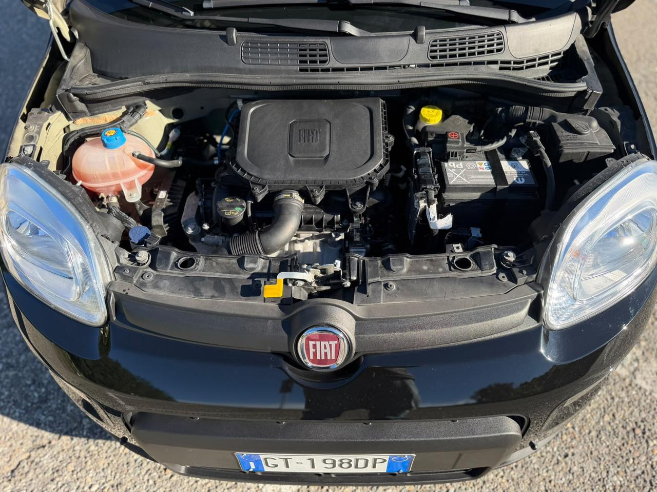 Fiat Panda 1.0 FireFly S&S Hybrid 2024 unico proprietario