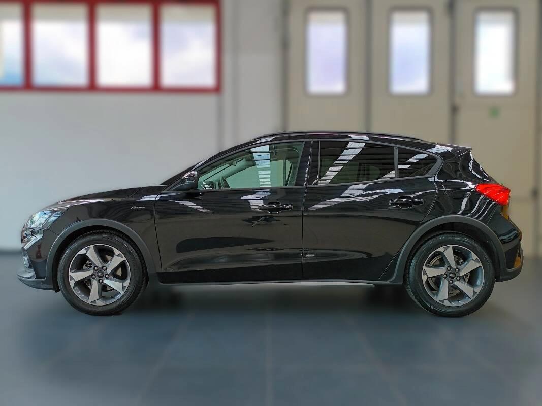 Ford Focus 125 cv Ibrida Active