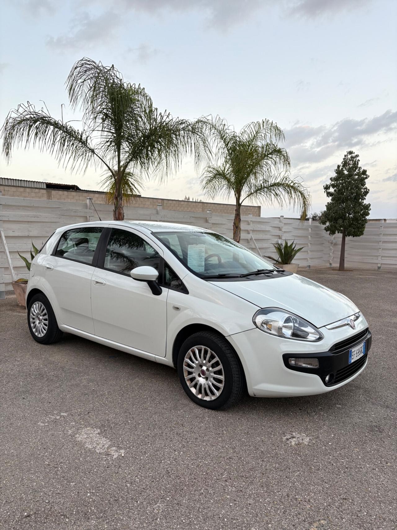 Fiat Punto Evo 1.3 Mjt tagliando eseguito 5 porte in eccellenti condizioni