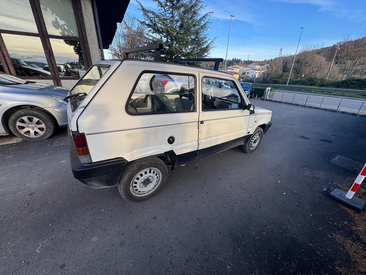 Fiat Panda 1100 i.e. cat Young