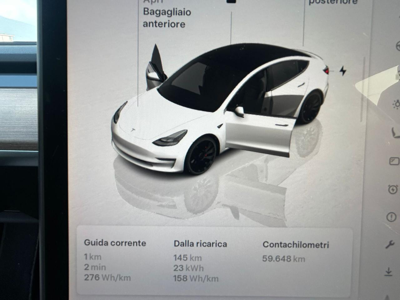 Tesla Model 3 Performance Dual Motor awd