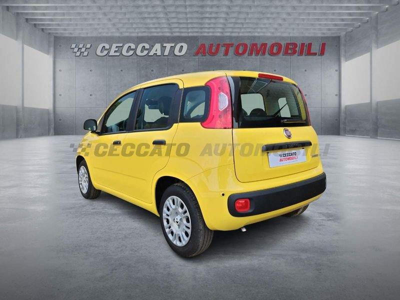 FIAT Panda Panda 1.0 firefly hybrid s&s 70cv