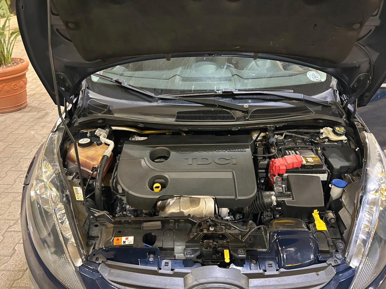 Ford Fiesta 1.4 TDCi 70CV 5 porte Titanium