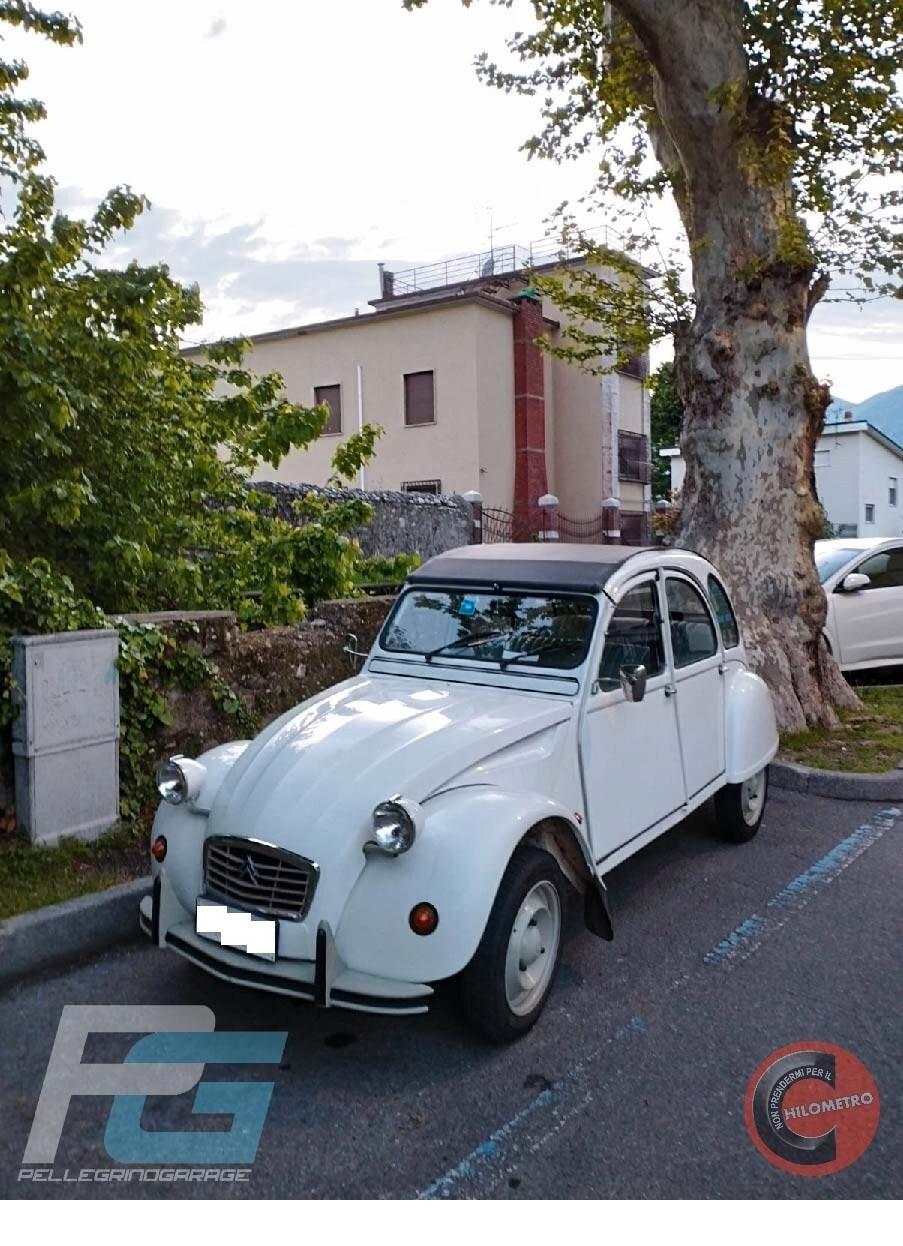 Citroen 2CV special